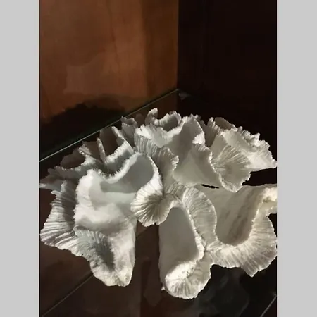 Prázdninový dům Casa Antigua Reformada Junto Al Mar