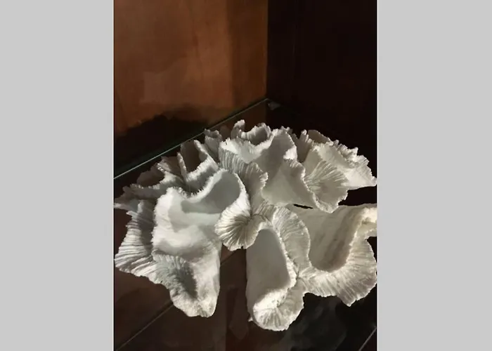 Dom wakacyjny Casa Antigua Reformada Junto Al Mar